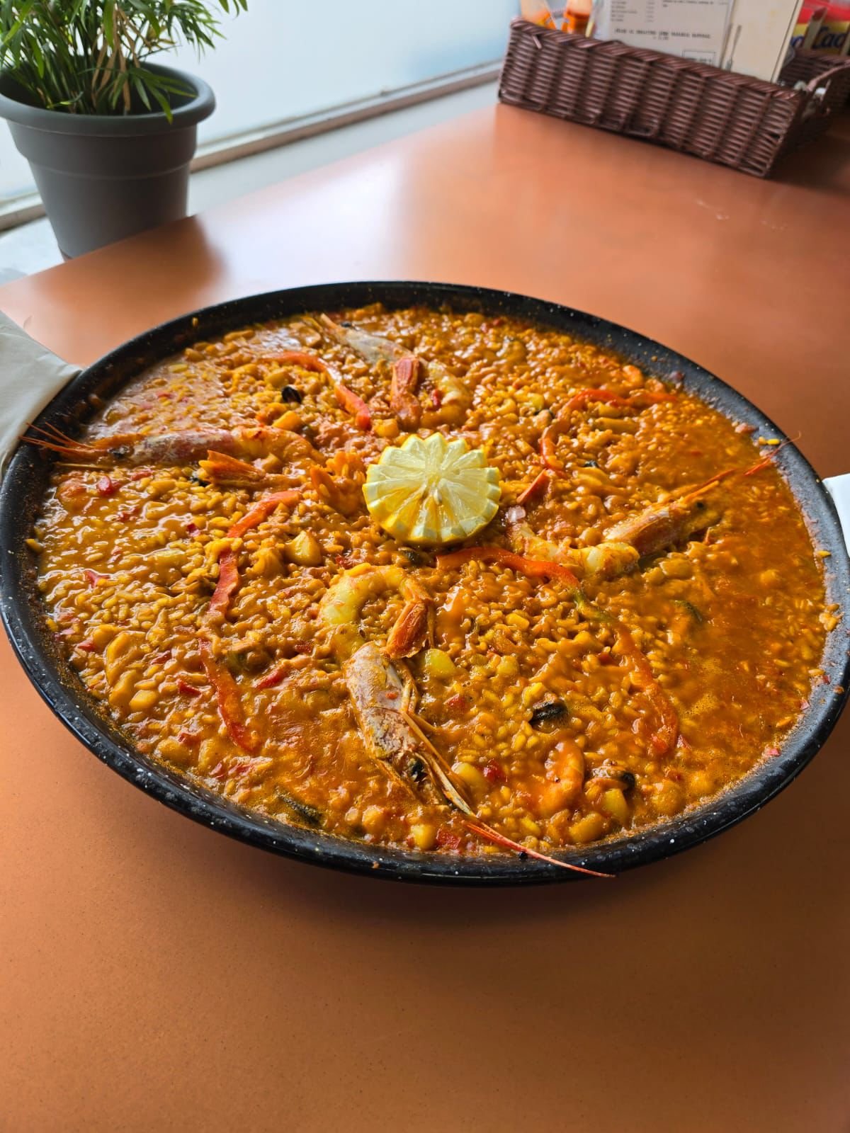 WhatsApp Image 2026-01-15 at 09.59.07